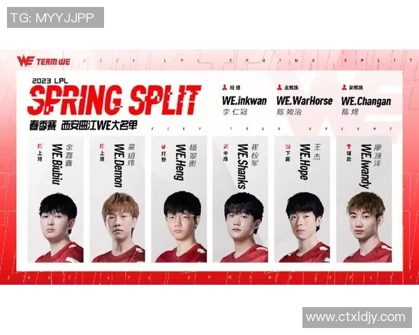 深入探讨WE战队在比赛中的数据分析与经验表现总结