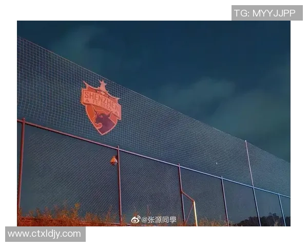 深圳足球队状态飙升创历史新高引发球迷热议与期待