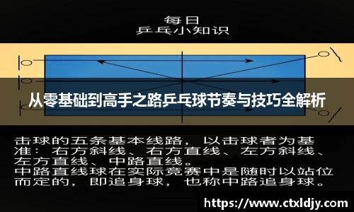 从零基础到高手之路乒乓球节奏与技巧全解析